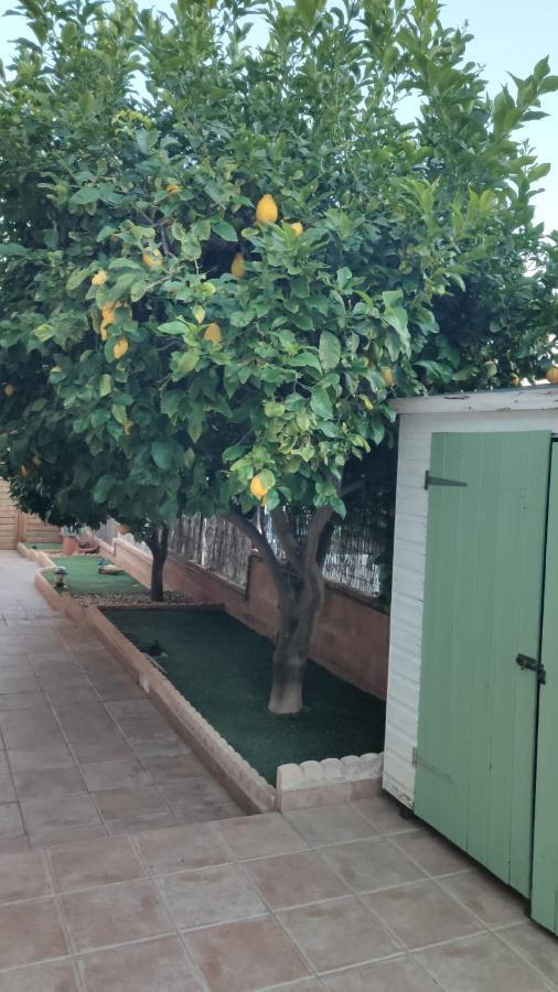 Es Cantonet Calvia  Ngoại thất bức ảnh